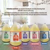 BAMBOO AND BIRCH Pure Castile Soap Liquid, Certified Palm Oil