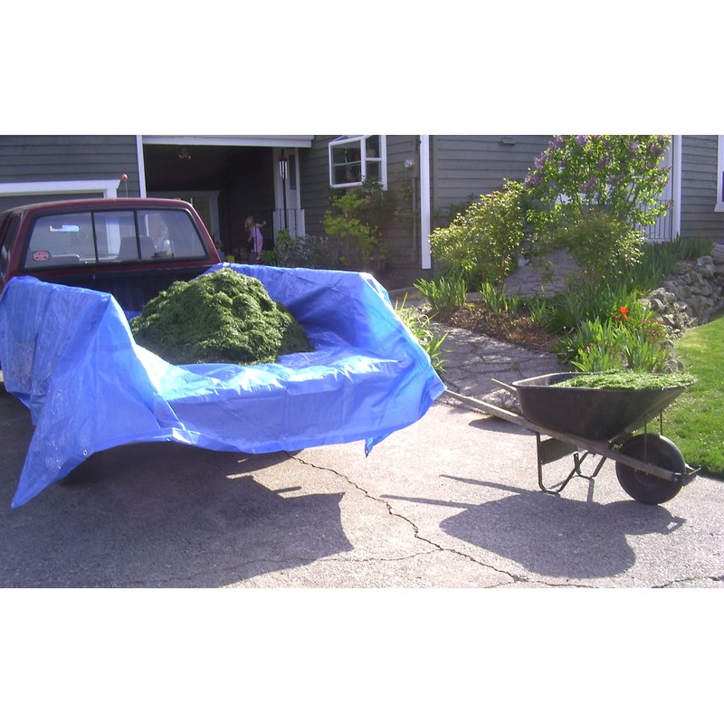 8' x 10' Foremost Tarp 80810 Blue Cut Size Blue