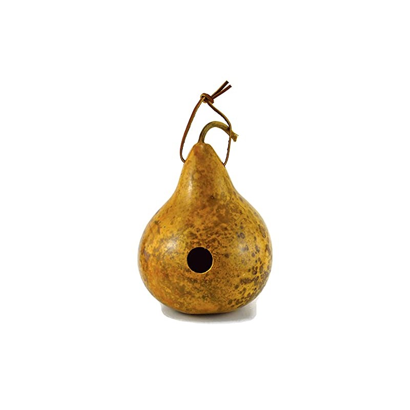 Gourd Birdhouse Natural