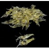 10 Pcs 4cm Simulation Fake Bait Grass Shrimp Lures Soft