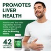 Salutem Vita Advanced Detox Cleanse, Detox Kit with 2 Test