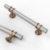 Asidrama 10 Pack 3.75 Inch(96mm) Brushed Satin Nickel and Champagne