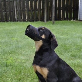 Coastal Pet Best FitÂ Adjustable Mesh Dog Muzzle sz 6