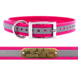 Outdoor Dog Supply 1" Wide Reflective D Ring Dog Collar Strap with Custom Brass Name Plate