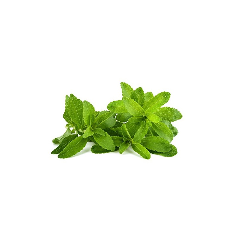 Stevia Leaf - Stevia rebaudiana Loose Leaf c/s 100% from