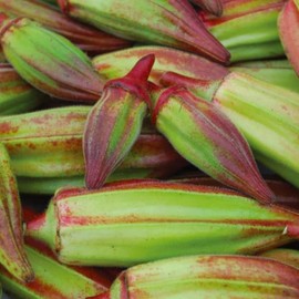 Frontier Seeds Hill Country Red Okra Seeds NON-GMO Heirloom Open Pollinated Easy to Grow! YUM!