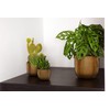Capi Europe - Flower Pot Ball Groove Black & Gold