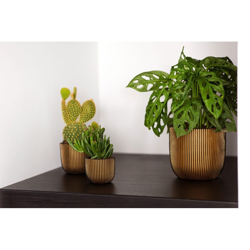 Capi Europe - Flower Pot Ball Groove Black & Gold