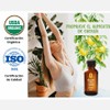OLEUM VITAE Aceite Esencial de Limón 120ml. Citrus Limonum. 100%