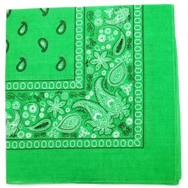 Kaiser Novelty Bandanas Paisley Cotton Bandanas (Lime 22 X 22 in)