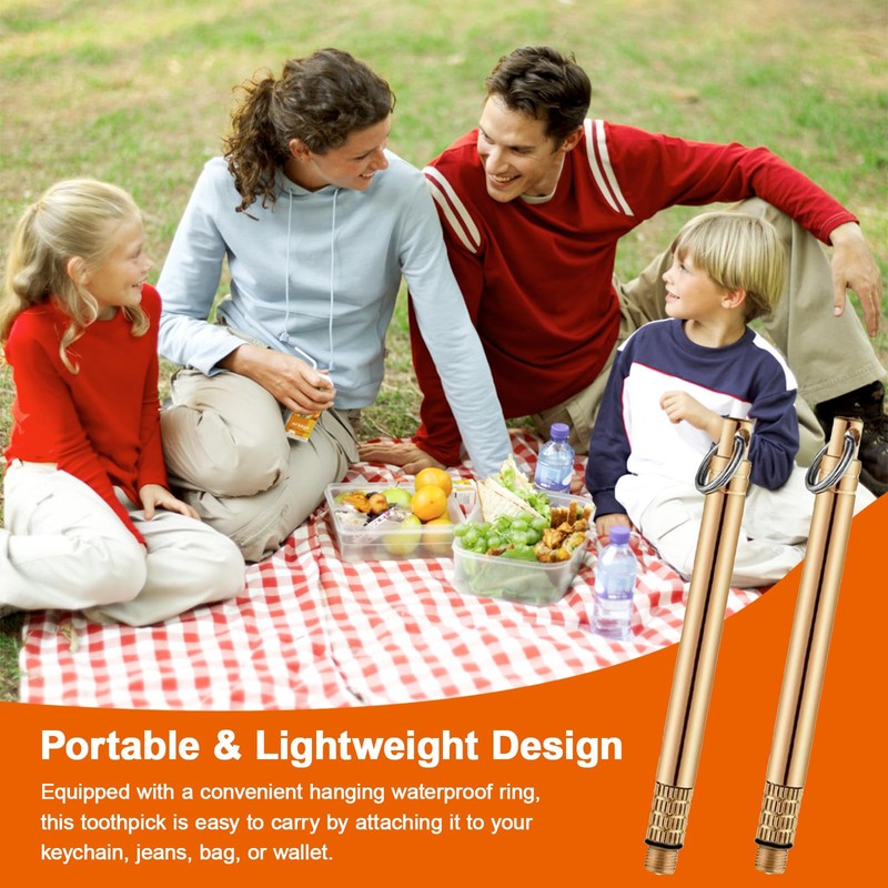 2 Pcs Titanium Alloy Toothpicks, Portable Toothpicks, Titanium Toothpicks Toothpick
