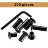 100 Pcs M6 Nuts, Hex Socket Screw Rivet Insert Nuts,