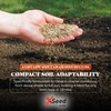 A-List Low Input Mixture Lawn Seed - Premium Grass Seeds