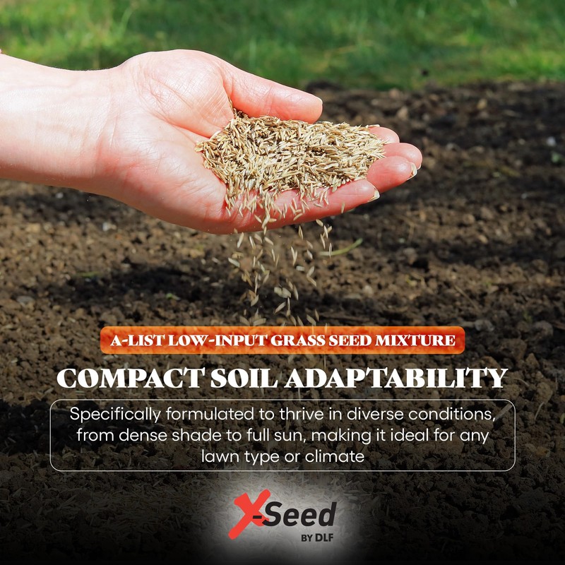 A-List Low Input Mixture Lawn Seed - Premium Grass Seeds