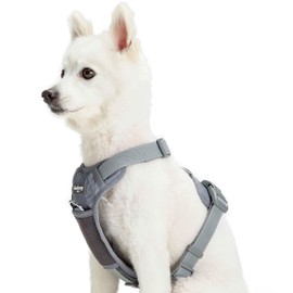 Blueberry Pet Soft & Comfy Reflective Mesh Padded No Pull Dog Harness Vest in Grey, Large, Adjustable Harnesses for Dogs