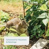 Plantura Organic Snail Grain Rainproof Power Agent Gentle on Pets