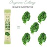 Polyandric acid freeze-dried organic curly kale powder Curly kale convenient