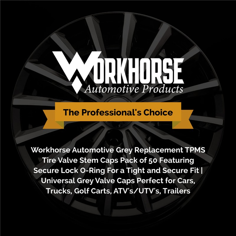 Workhorse Automotive Tire Valve Caps, tpms Valve stem caps, Grey