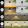 Motion Sensor Outdoor Wall Lantern with Remote Control, Dusk to