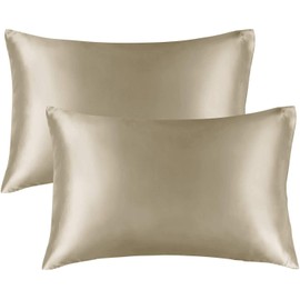 BEDELITE Satin Silk Pillowcase for Hair and Skin, Taupe Pillow Cases Standard Size Set of 2 Pack Super Soft Pillow Case with Envelope Closure (20x26 Inches)