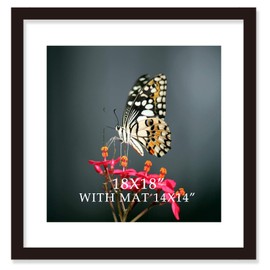 VITOIVE 18x18 Frame Black With Mat 14x14 Solid Wood Picture Frames Wall Mounting (1 pack, 18x18 Inch)…