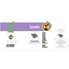 Natures-Star Lavender Essential Oil, 16 Ounce, Therapeutic Grade for Aromatherapy,