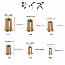 Galvanized Carbon Steel Hand Nut Nut Rivet Nut Hand Rivet Set Blind Nut Rivet Set Insert Rivet Tool Set of 20 (M10)