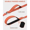 Joytale Tangle-Free Slip Leads for Dogs, 6 FT Slip Leash