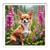 Chihuahua Coaster Set. 4 different Chihuahua Dog Pictures on 10cm