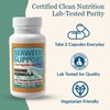 Maine Coast Sea Vegetables Seaweed Support Iodine Formula | Source