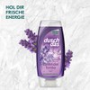 Duschdas Duschgel Lavendel Tonka Duschbad mit verw√∂hnender Duftformel sorgt f√ºr