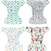 Littles and Bloomz Reusable Nappy, Standard Popper, 4 Nappies, FLP2-0409