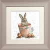 Wrendale Designs 'The Flower Pot' Rabbit Framed Greeting Card in