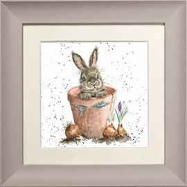 Wrendale Designs 'The Flower Pot' Rabbit Framed Greeting Card in Various Frame Colours (Taupe)