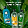 Herbal Essences Champú Con Aceite De Argán De Marruecos, Apto