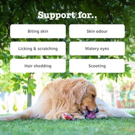 Zesty Paws Salmon Skin & Coat Care with Fish Oil for Dogs | Supports Skin Care and Healthy Coat | Dog Chews | Dog vitamins and supplements with fish oil for dogs | 90 Count