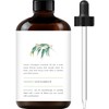 Handcraft Blends Handcraft Blends Lemon Eucalyptus Essential Oil - Huge