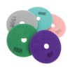 10 x 4 Inch Wet Diamond Polishing Discs with Plate