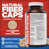 Yerba Prima Psyllium Husks Caps, 625 mg, 400 Capsules -