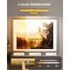 Skairipa 13" Rechargeable Picture Light for Wall with Remote, Gold