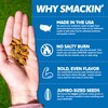 SMACKIN' - Jumbo Roasted Sunflower Seeds, No Salty Burn, American
