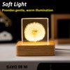 Fximey Dandelion Crystal Cube Night Light, 2 inch Transparent Cube