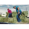 Shur-Hook: The Ultimate Hay Hook, Set of 2 Hay Hooks