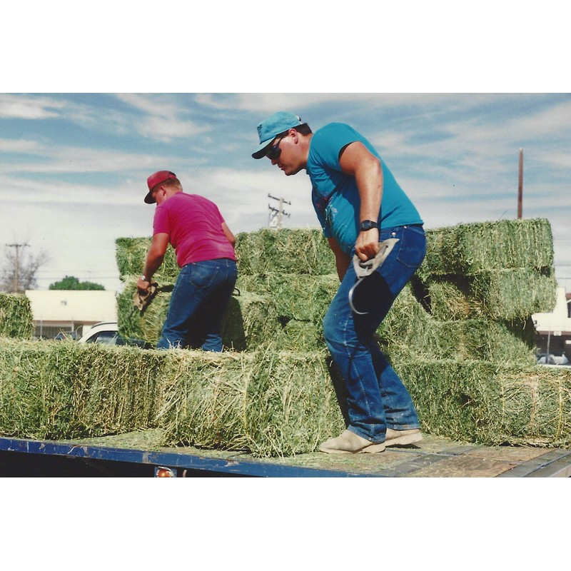 Shur-Hook: The Ultimate Hay Hook, Set of 2 Hay Hooks