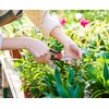 TABOR TOOLS 2-Pack Micro-Tip Pruners with Straight Blades and Fine