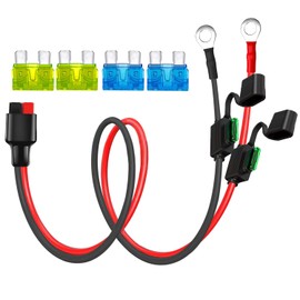 AYECEHI 10AWG Solar 45A Connecter to Ring Terminal Cable,Compatible with Anderson Connector Port,Dual Fuse Holder Cable,for Automotive- 1M/3FT