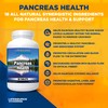 LifeSource Vitamins Pancreas Health-18 All Natural Synergistic Ingredients for Pancreas