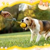 Hsei 2 Pcs Large 3.5inch Dog Toy Ball on a