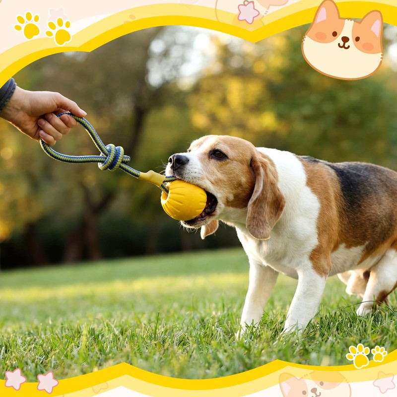 Hsei 2 Pcs Large 3.5inch Dog Toy Ball on a