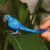 Schleich Wild Life - Wild Animal Toy Parrot Figurine -